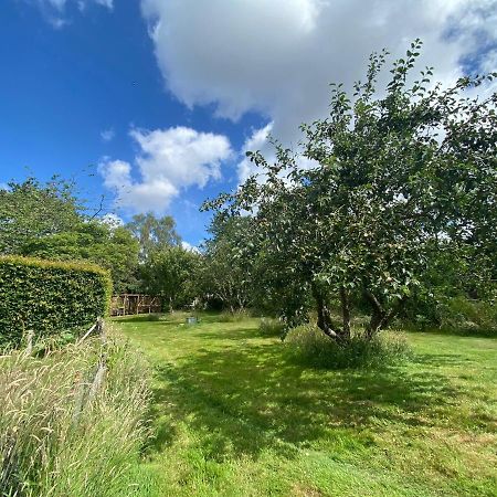 Vane Cottage - Lewes Eksteriør bilde