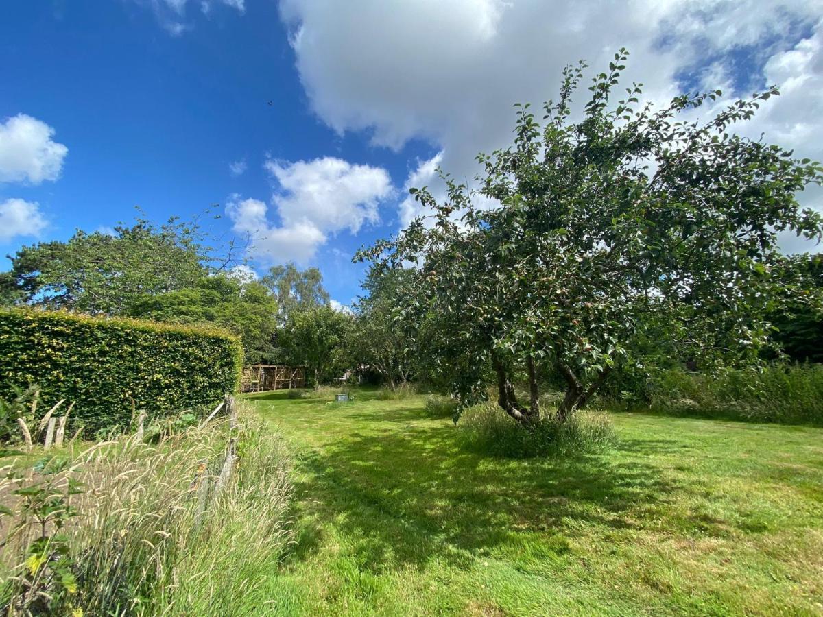 Vane Cottage - Lewes Eksteriør bilde